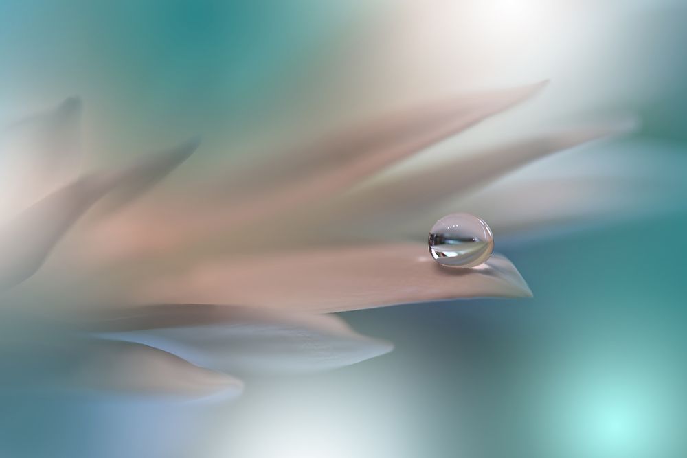 White Symphony.. art print by Juliana Nan for $57.95 CAD