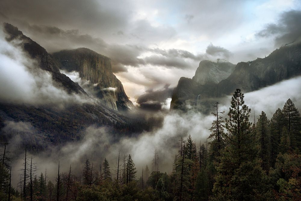 Upper Valley Morning art print by Gary Perlow for $57.95 CAD