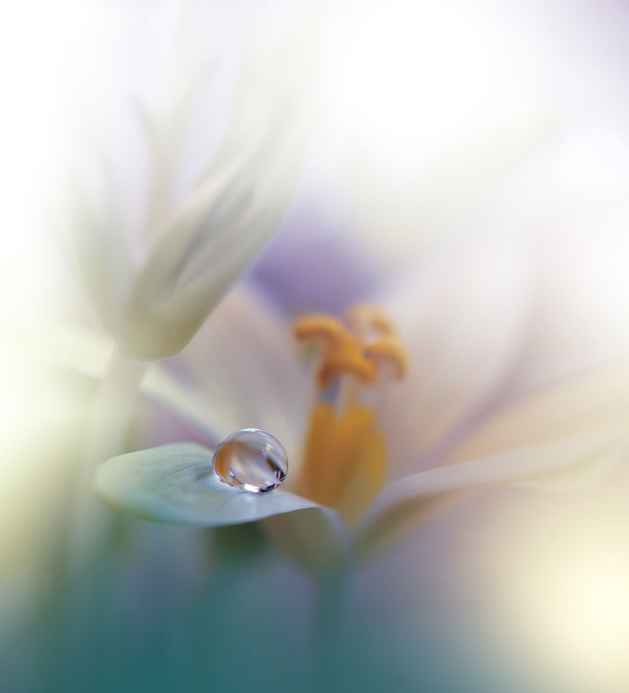 All Of Me... art print by Juliana Nan for $57.95 CAD