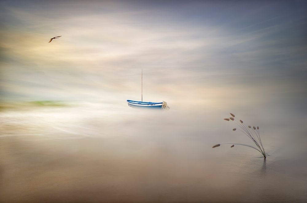 Dreaming Of The Sea art print by Fran Osuna for $57.95 CAD