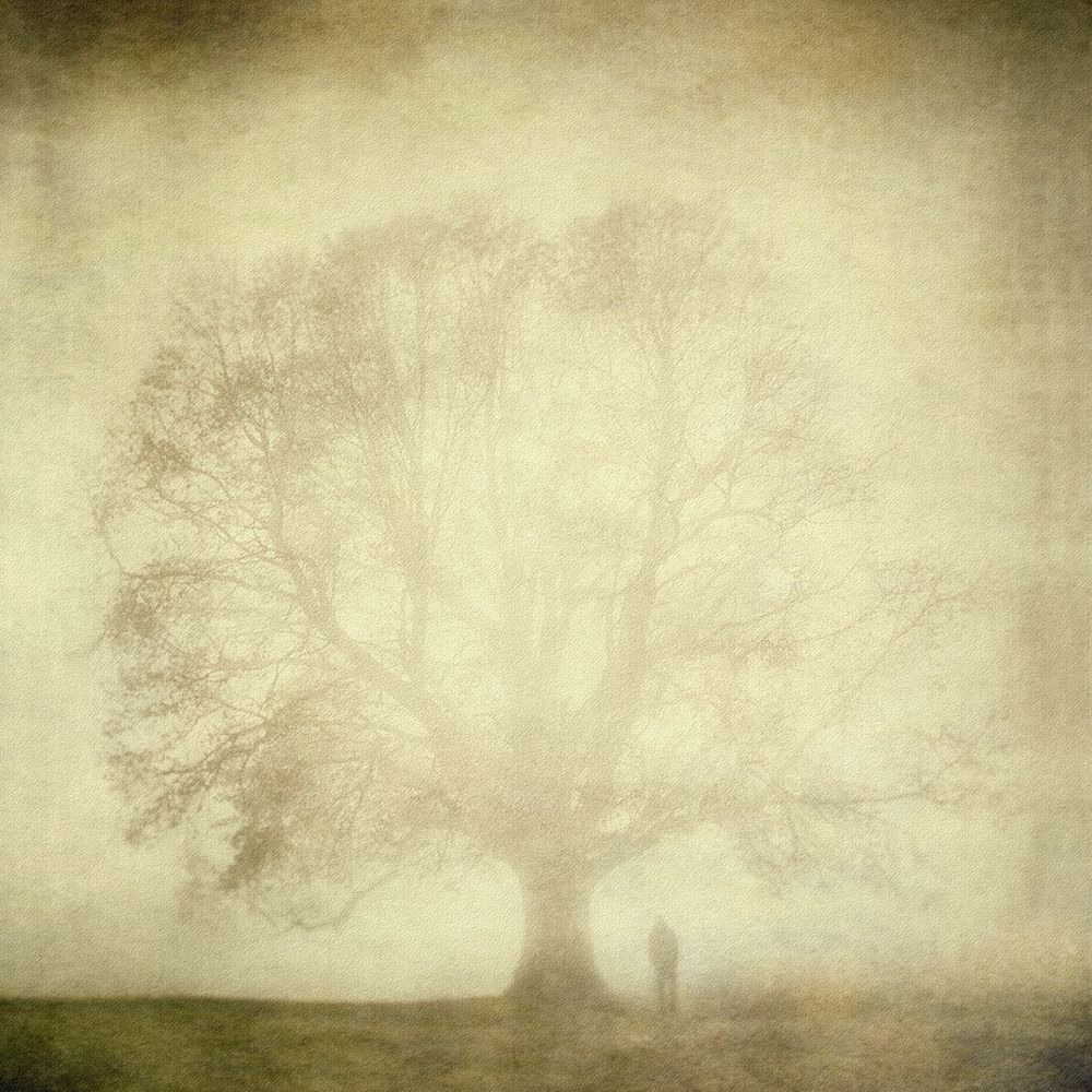 Untitled art print by Topic for $57.95 CAD
