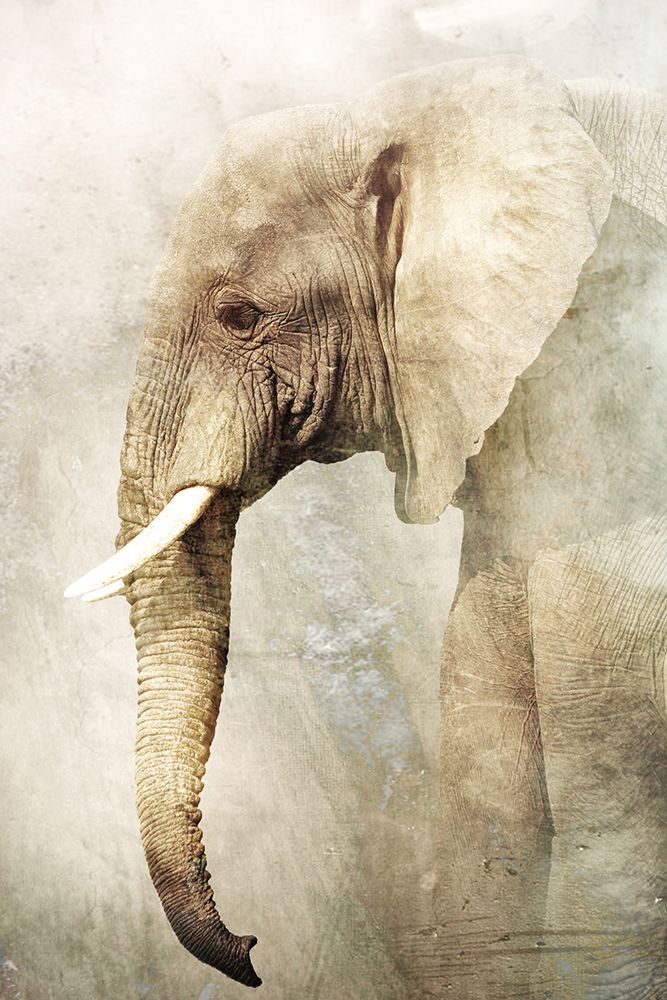 Untitled art print by Antonio Grambone for $57.95 CAD