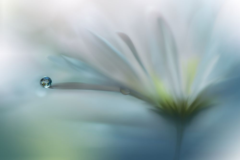 Fields Of Hope.. art print by Juliana Nan for $57.95 CAD