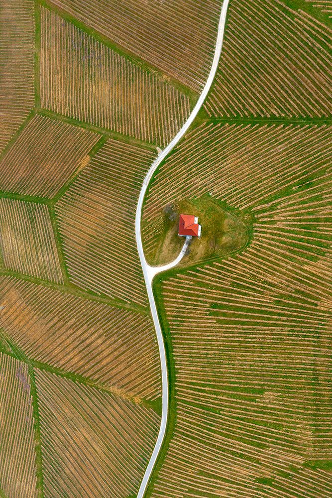 Vinyards art print by Jure Kravanja for $57.95 CAD