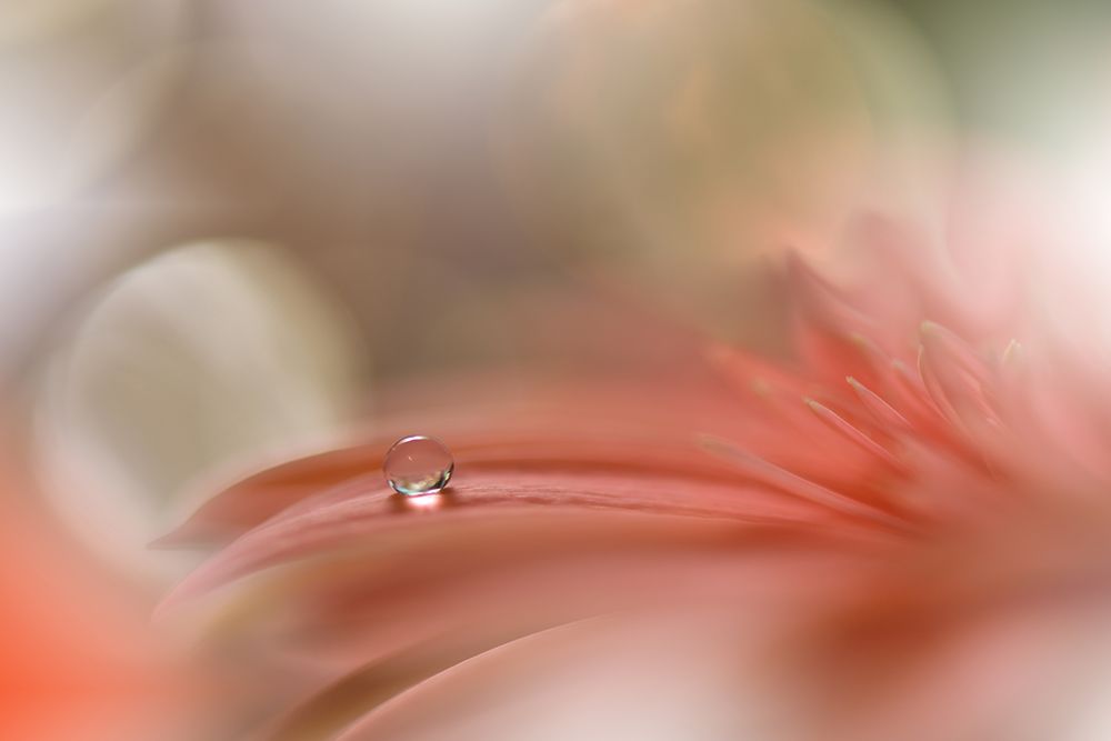 Light Touch.. art print by Juliana Nan for $57.95 CAD