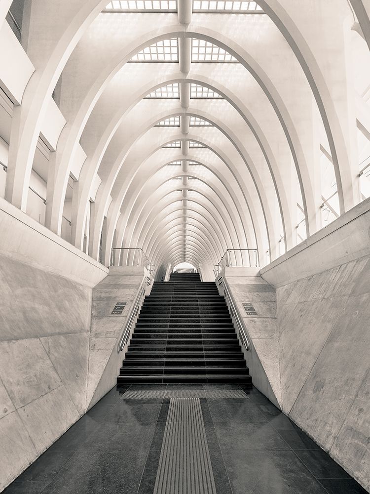 Inside Calatrava art print by Oscar Lopez for $57.95 CAD