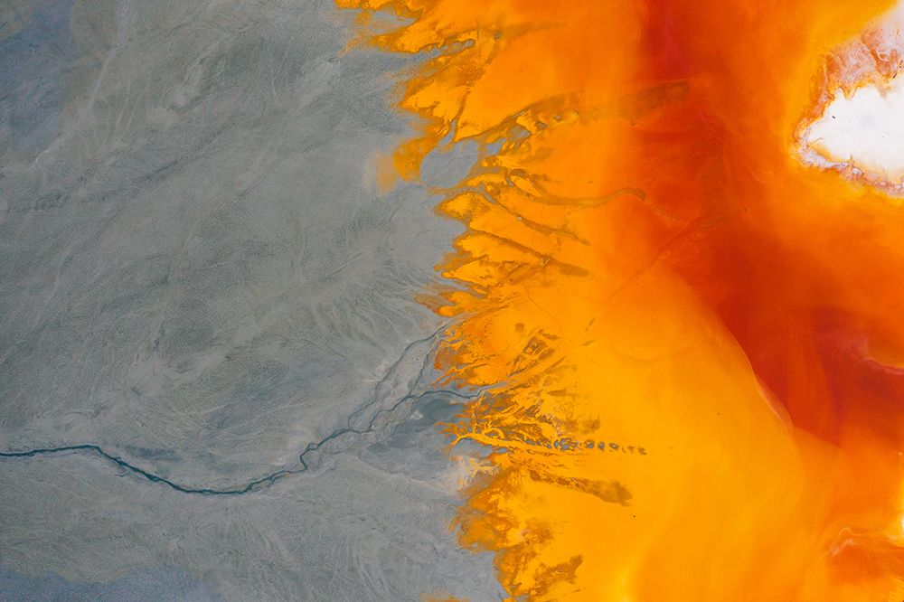 Toxicolors art print by Angyalosi Beata for $57.95 CAD