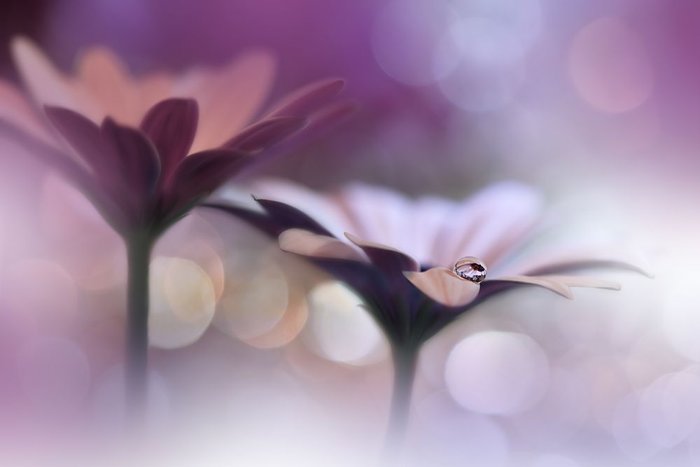 Untitled art print by Juliana Nan for $57.95 CAD