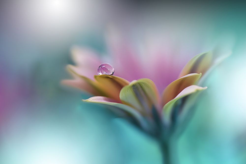 Memories Of Sea.. art print by Juliana Nan for $57.95 CAD