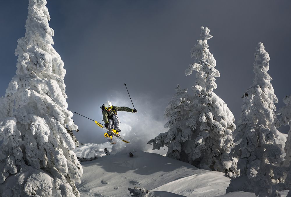 Ski Is Life art print by Sandi Bertoncelj for $57.95 CAD