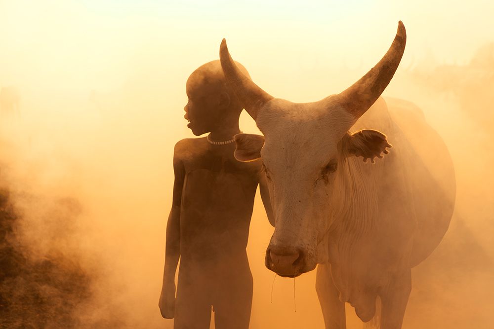Boy Of Cattle art print by Hesham Alhumaid for $57.95 CAD