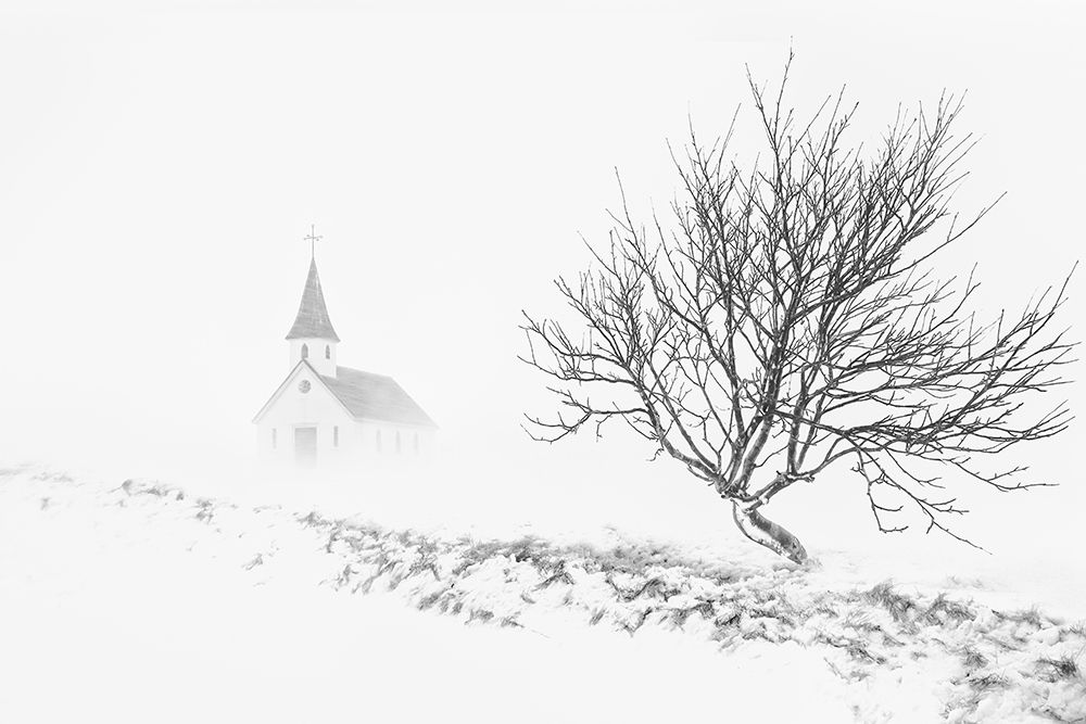 In Snowstorm art print by TonyXu for $57.95 CAD