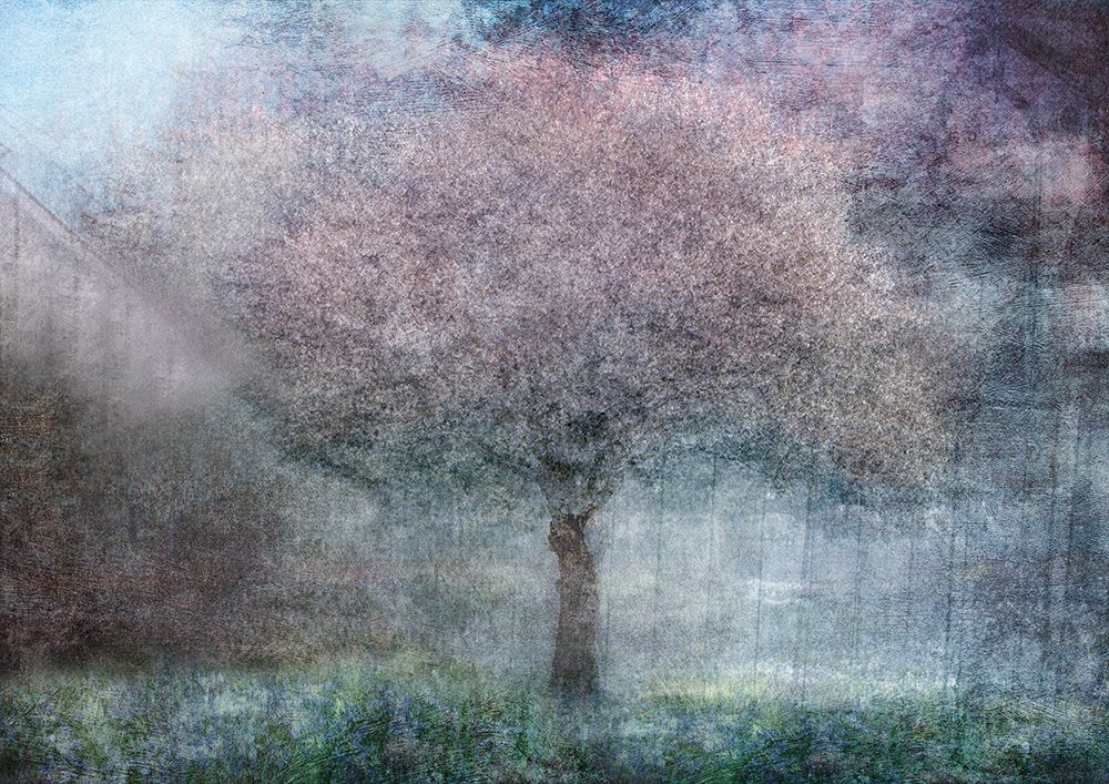 Magic Of Spring art print by Katarina Holmstrom for $57.95 CAD