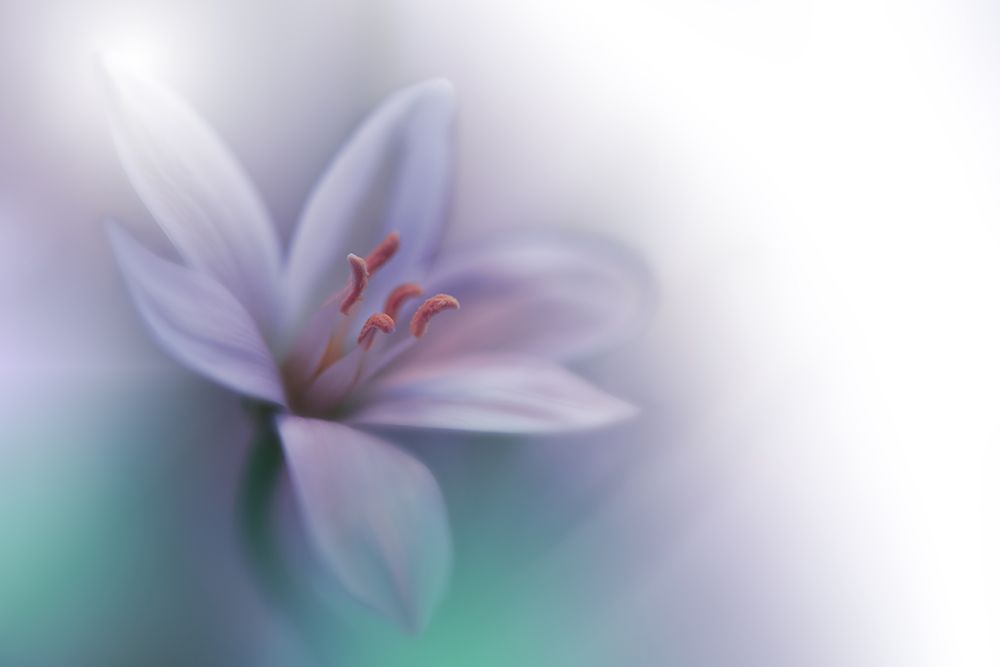 Beyond.. art print by Juliana Nan for $57.95 CAD