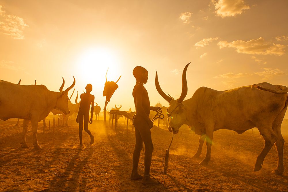 Early Morning .. art print by Hesham Alhumaid for $57.95 CAD
