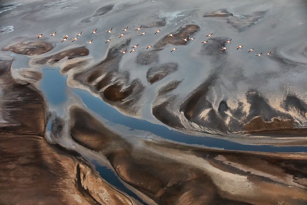 The Land art print by Jun Zuo for $57.95 CAD