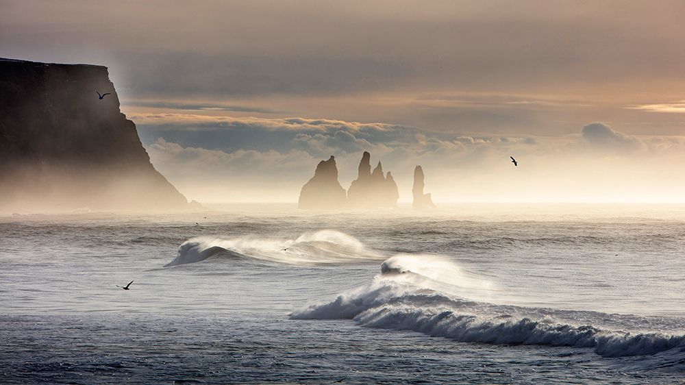 Dyrholaey-1, Iceland art print by Ryu Shin Woo for $57.95 CAD