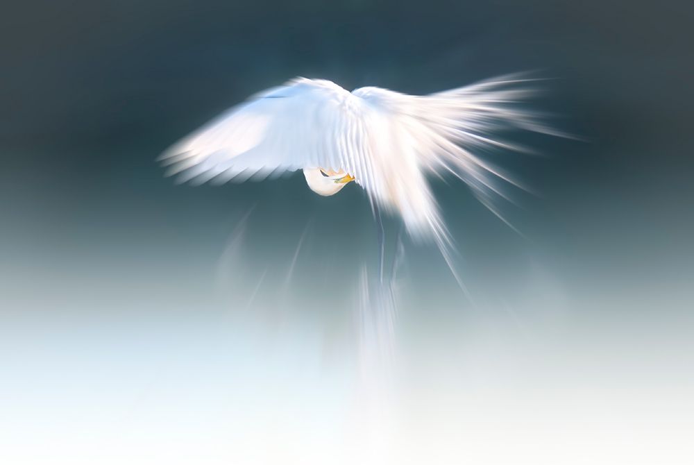 White angel art print by Larry Deng for $57.95 CAD