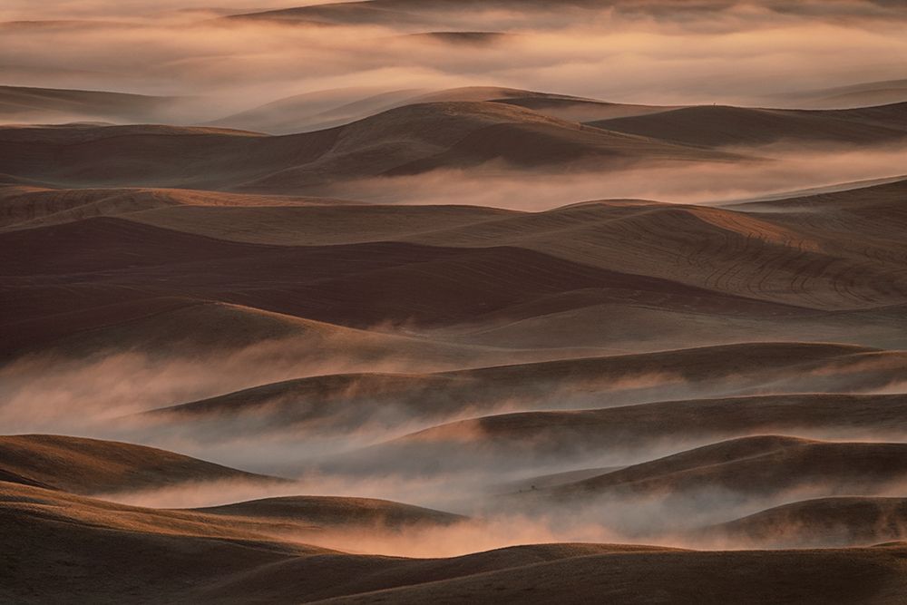 Early Spring Morning At Palouse art print by Lydia Jacobs for $57.95 CAD