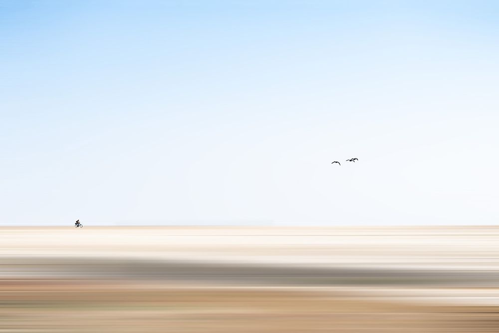behind the birds art print by Rolf Endermann for $57.95 CAD