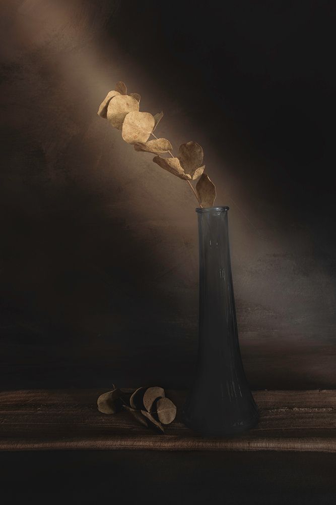 Partially Lighted art print by Cicek Kiral for $57.95 CAD