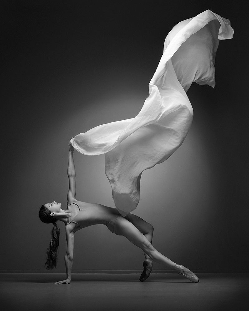 Art Of Movement Series art print by ANDREY STANKO for $57.95 CAD