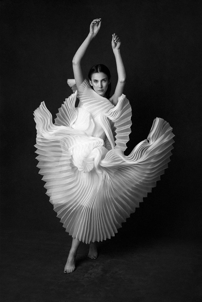 Swan Lake art print by Peyman Naderi for $57.95 CAD