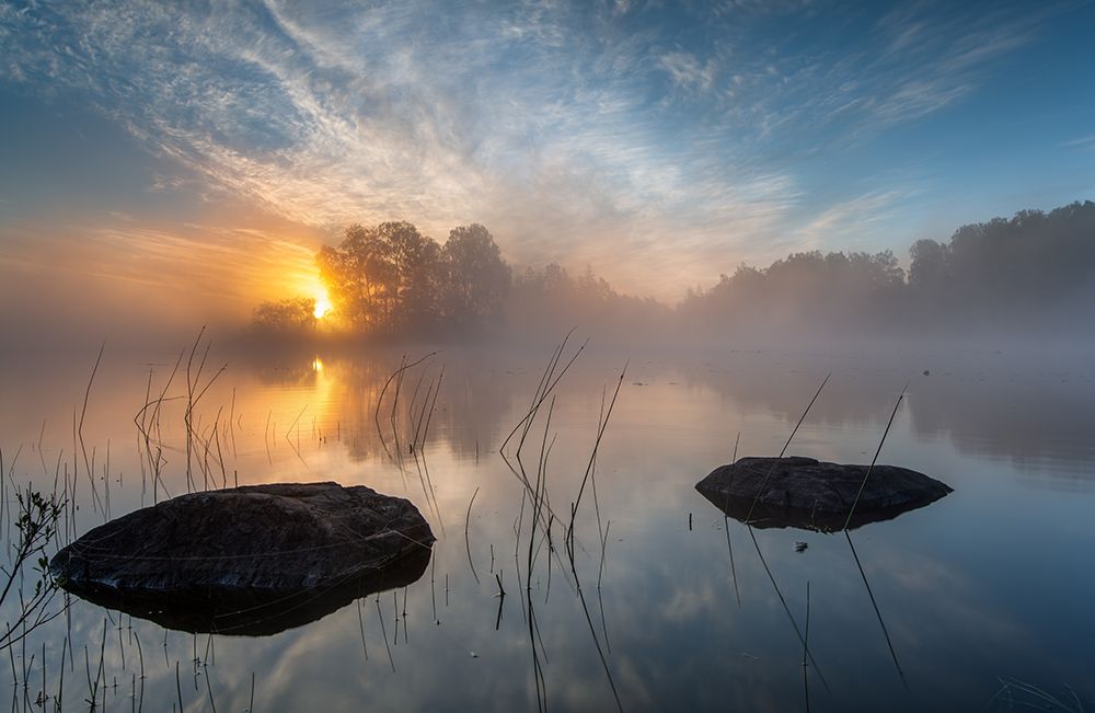 Morning Sun art print by Keller for $57.95 CAD