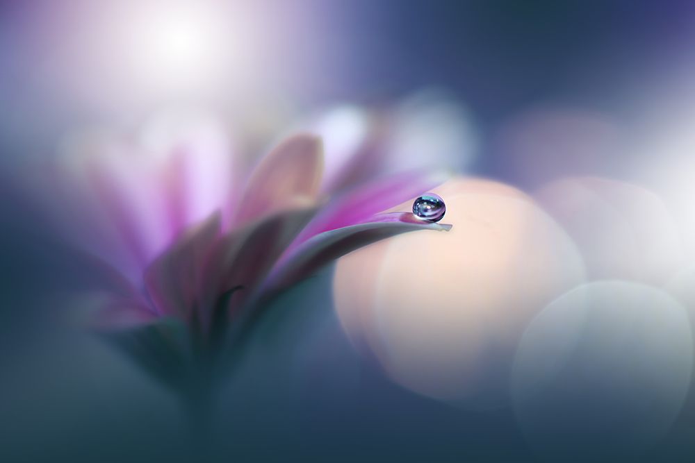 ~O~ art print by Juliana Nan for $57.95 CAD