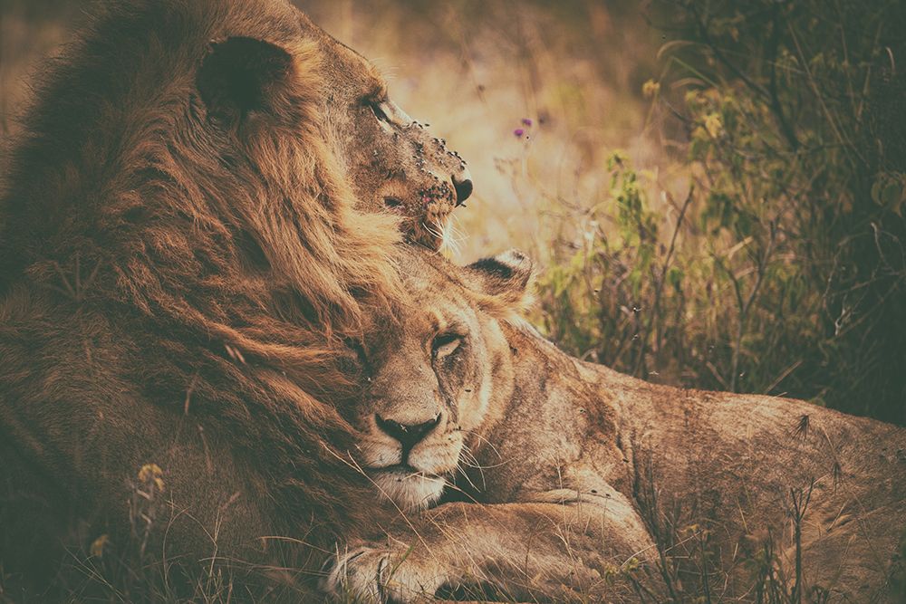 We Qflyq Together art print by Mohammed Alnaser for $57.95 CAD