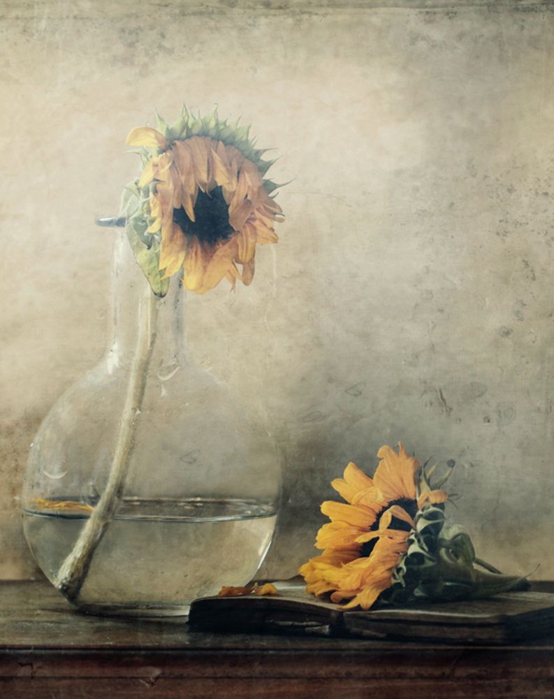 Before I Wilt... art print by Delphine Devos for $57.95 CAD