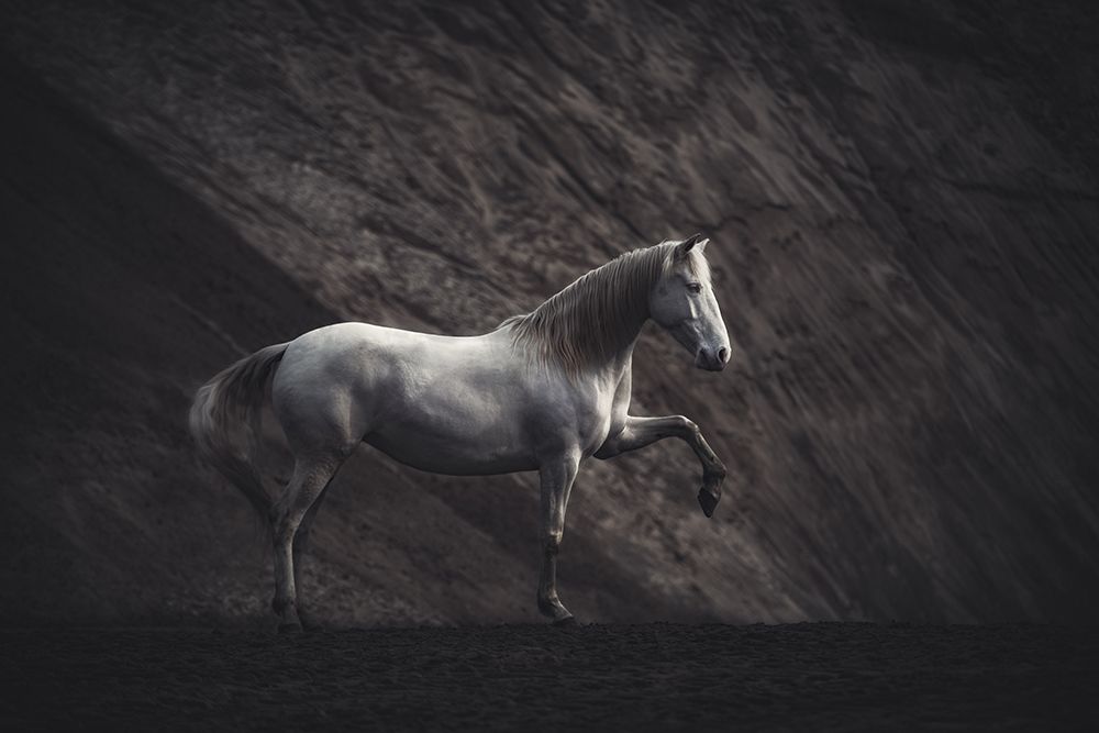 Solitaire art print by Heike Willers for $57.95 CAD