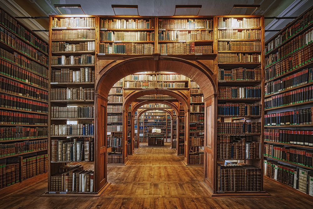 Upper Lausitzian Library Of Sciences art print by Patrick Aurednik for $57.95 CAD