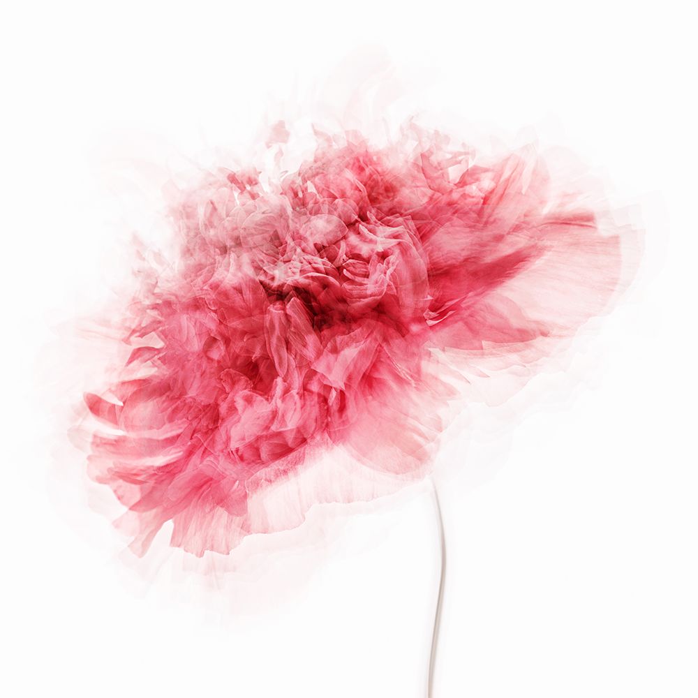 Poppy Impressions art print by Inna Karpova for $57.95 CAD