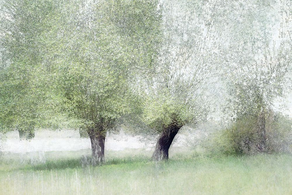 Young Green art print by Nel Talen for $57.95 CAD