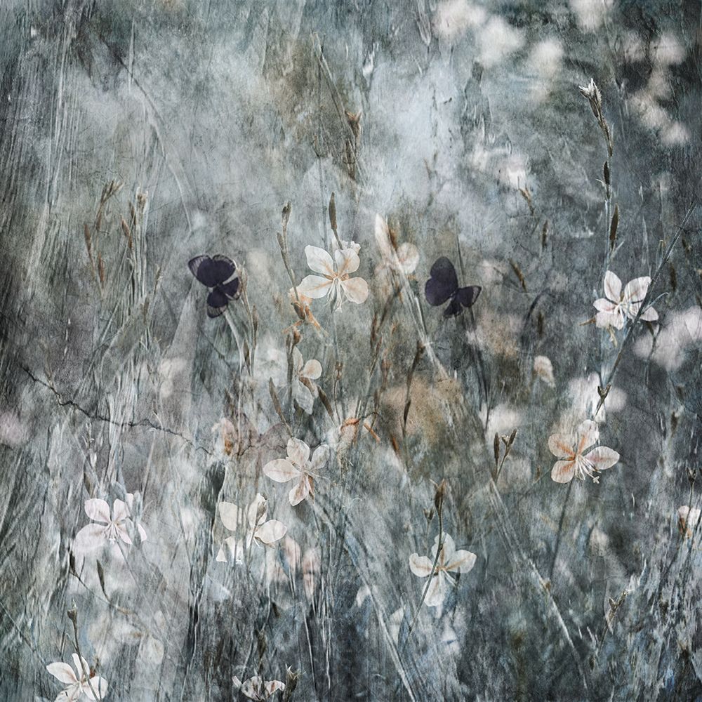 Dance With Joy art print by Delphine Devos for $57.95 CAD