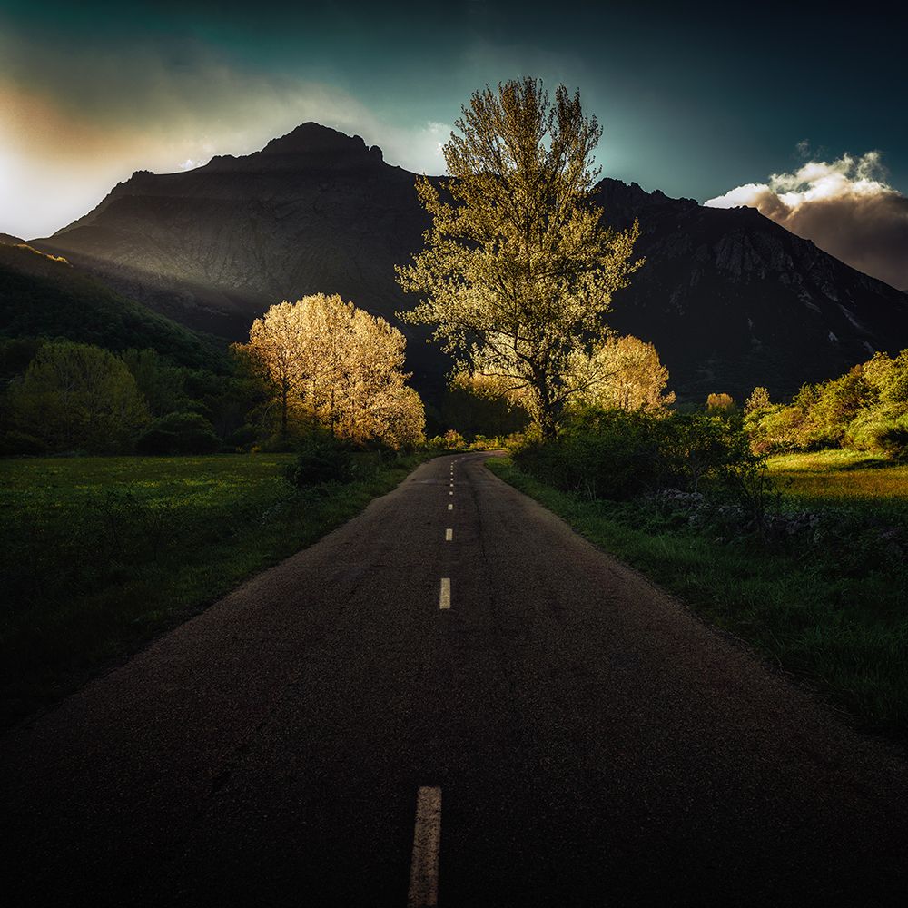 Sunset On The Road art print by Marco Antonio Cobo for $57.95 CAD