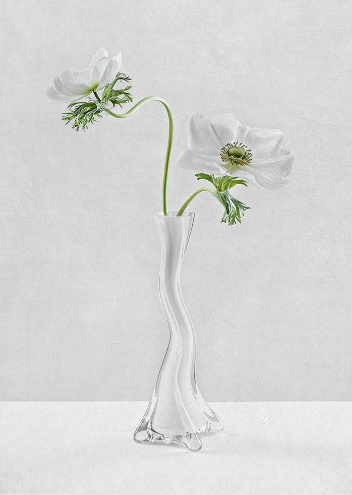 Curves art print by Inna Karpova for $57.95 CAD