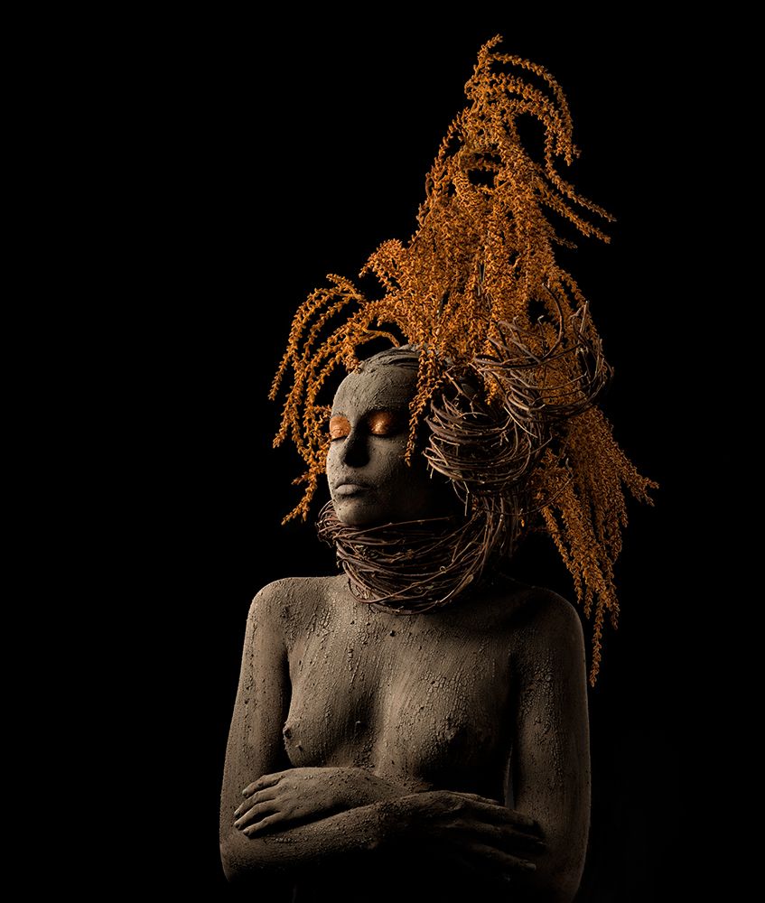 Roots art print by Alfredo Sanchez for $57.95 CAD