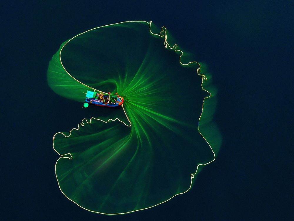 Lotus Leaf On The Sea art print by Nguyen Tan Tuan for $57.95 CAD