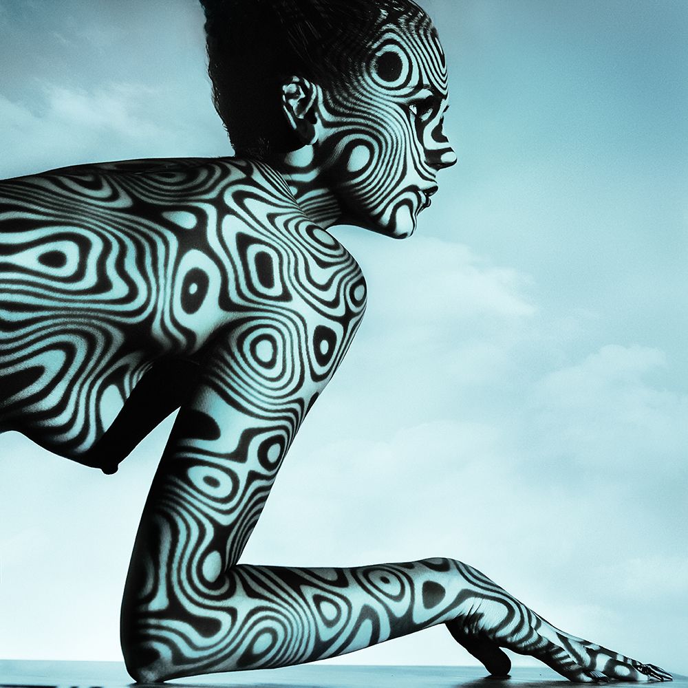 Camouflage art print by Aurimas Valevicius for $57.95 CAD