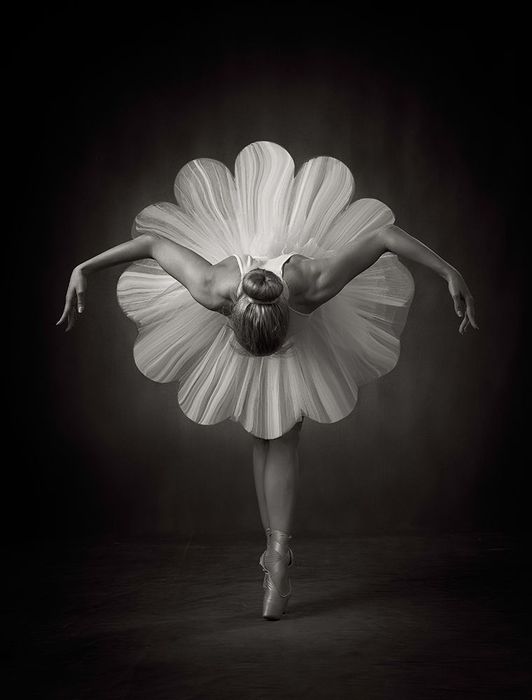 Floral Ballet art print by Catchlight Studio for $57.95 CAD