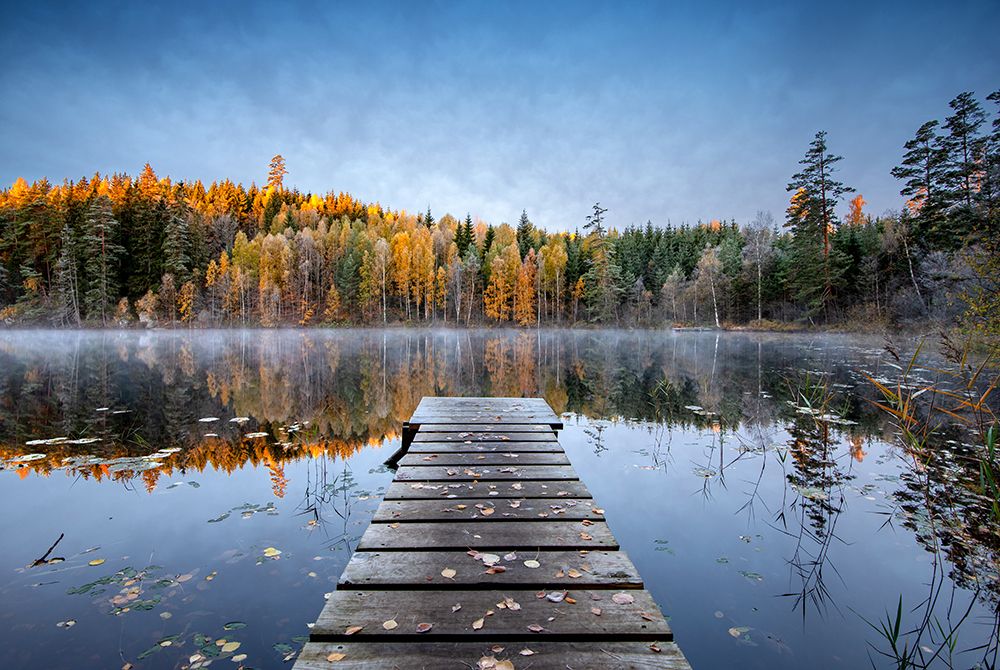 Autumn Pier art print by Keller for $57.95 CAD