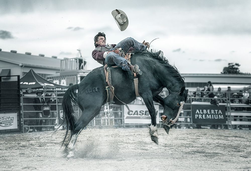 Cowboy In Action art print by Larry Deng for $57.95 CAD