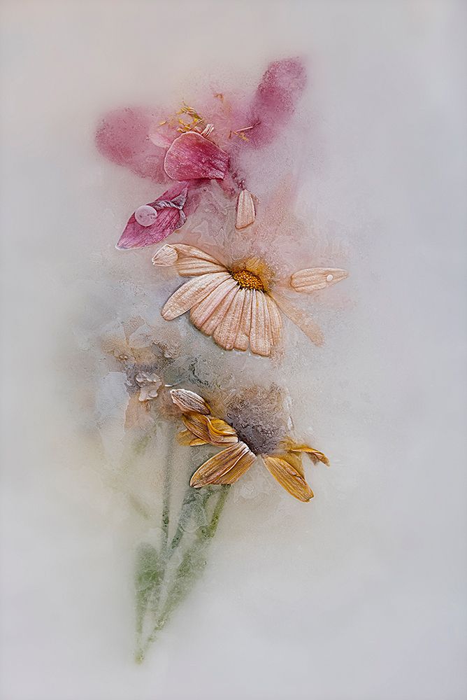 Untitled art print by Pedro Uranga for $57.95 CAD