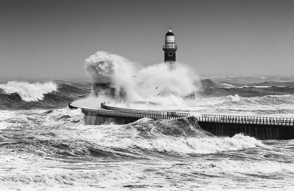 Power Of The Sea art print by Daniel Springgay for $57.95 CAD