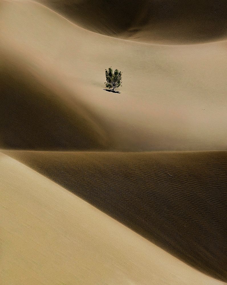 Green Hope art print by pphgallery for $57.95 CAD