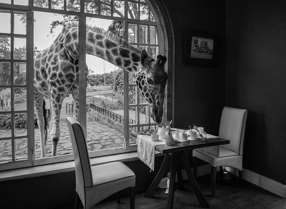 Breakfast Time art print by Jie Fischer for $57.95 CAD
