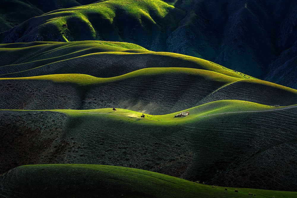Joan Kushtai Grassland art print by Hua Zhu for $57.95 CAD