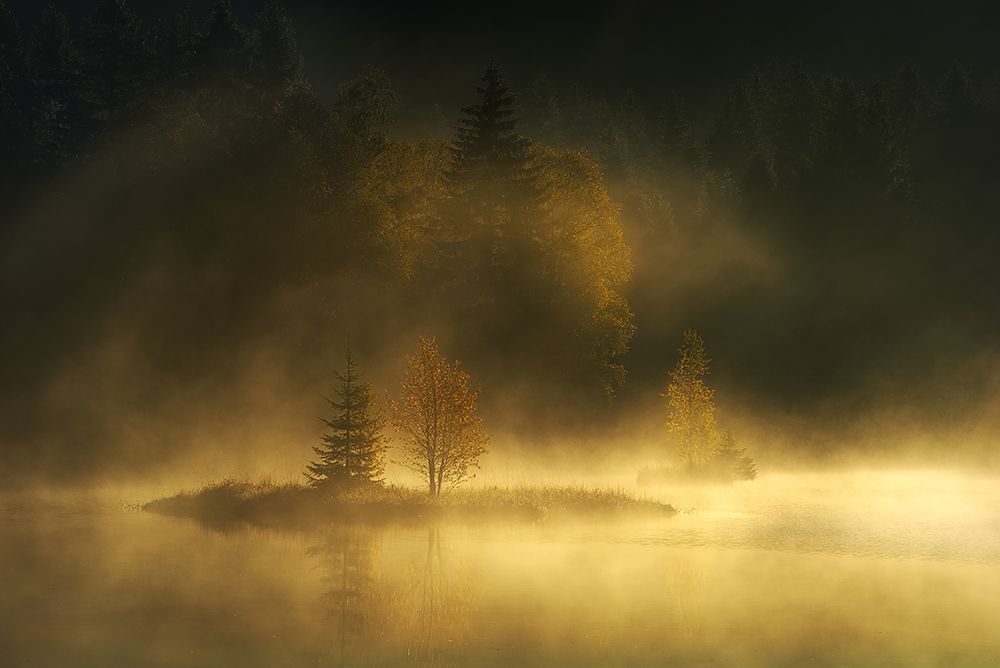 Autumnsphere art print by Ellen Borggreve for $57.95 CAD